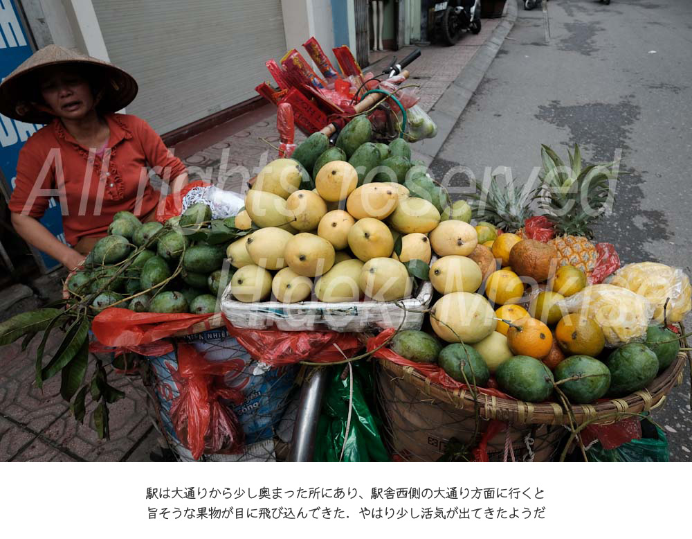 longbientrain_048